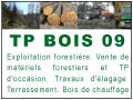 TP BOIS 09